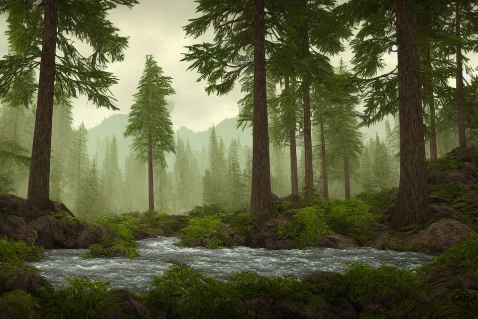 Tranquil Forest Scene: Tall Evergreens, Gentle Stream, Soft Fog