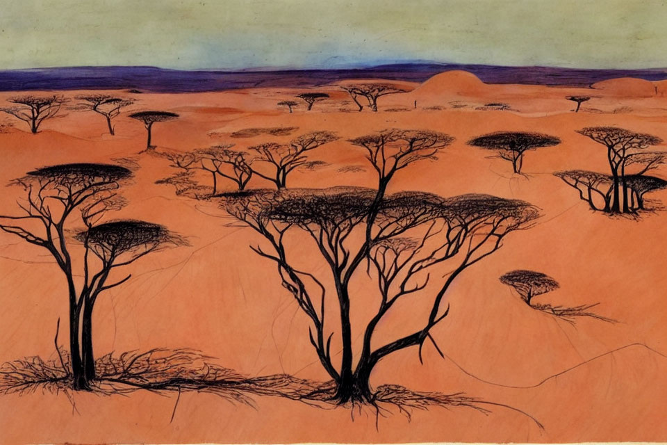 Savanna landscape with sparse trees under orange sky