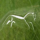 Stylized white horse painting with surreal elements