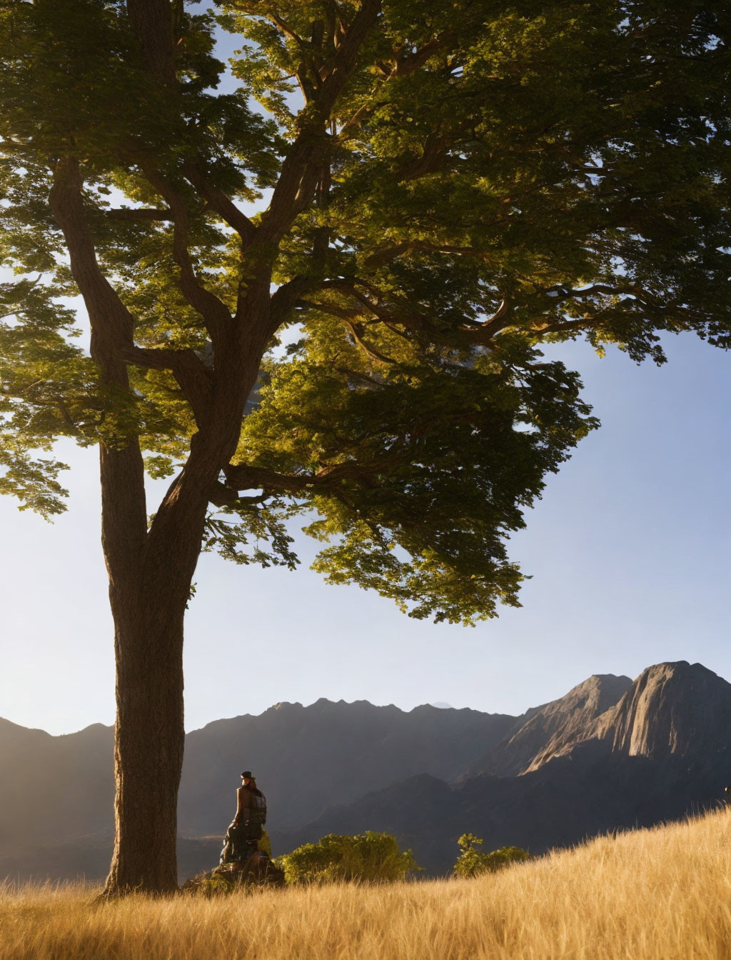 Person sitting under large tree with mountains in sunset light