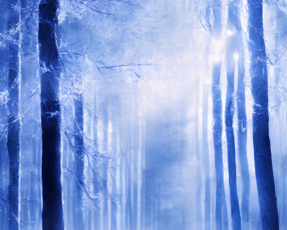 Snowy Forest Scene: Blue Tint, Sunlight Filtering Through Trees