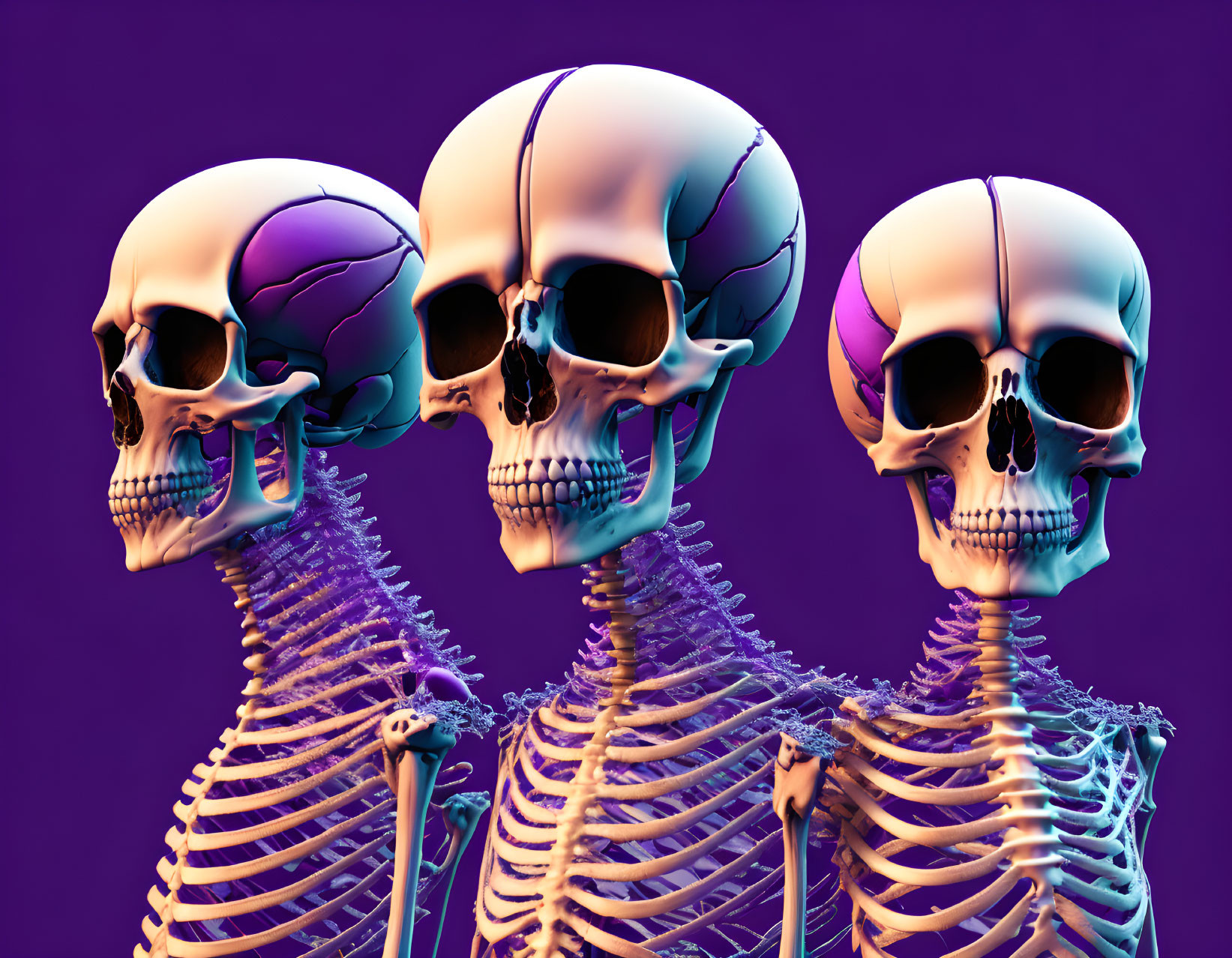 Three human skeletons on purple background - facing left, right, and forward