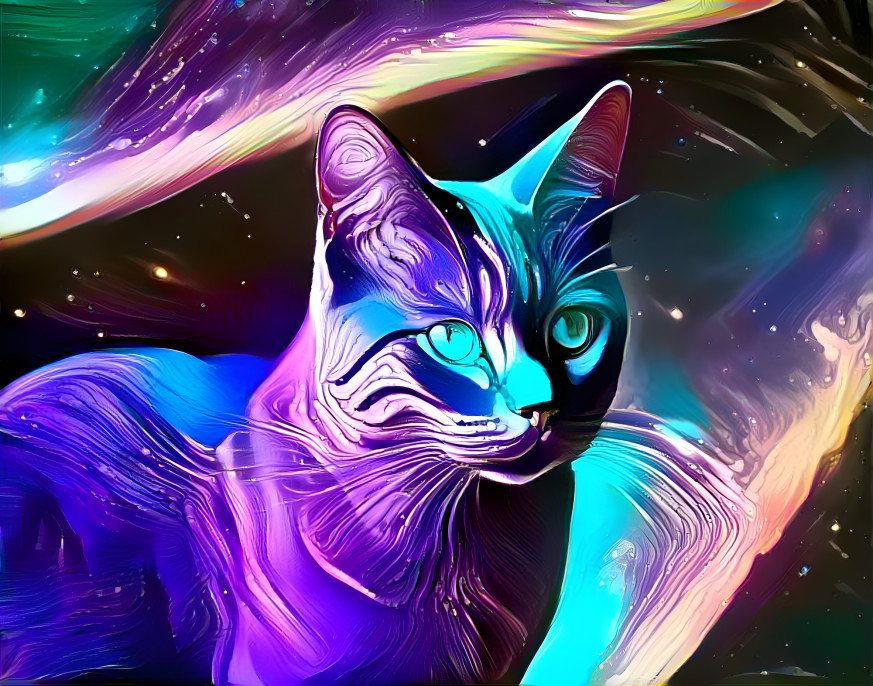 Abstract Space Cat