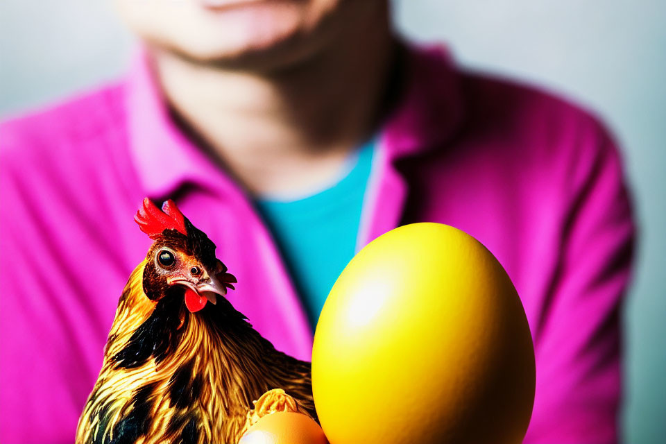 Person in Pink Shirt Holding Chicken with Large Yellow Egg