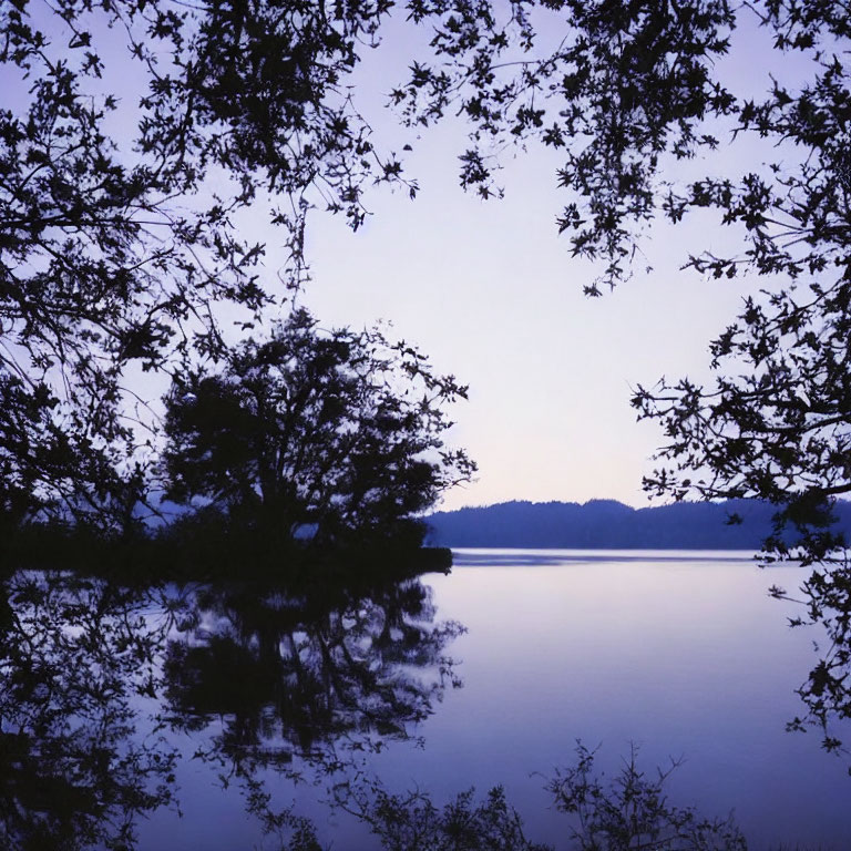 Tranquil Lake at Dusk with Silhouetted Trees