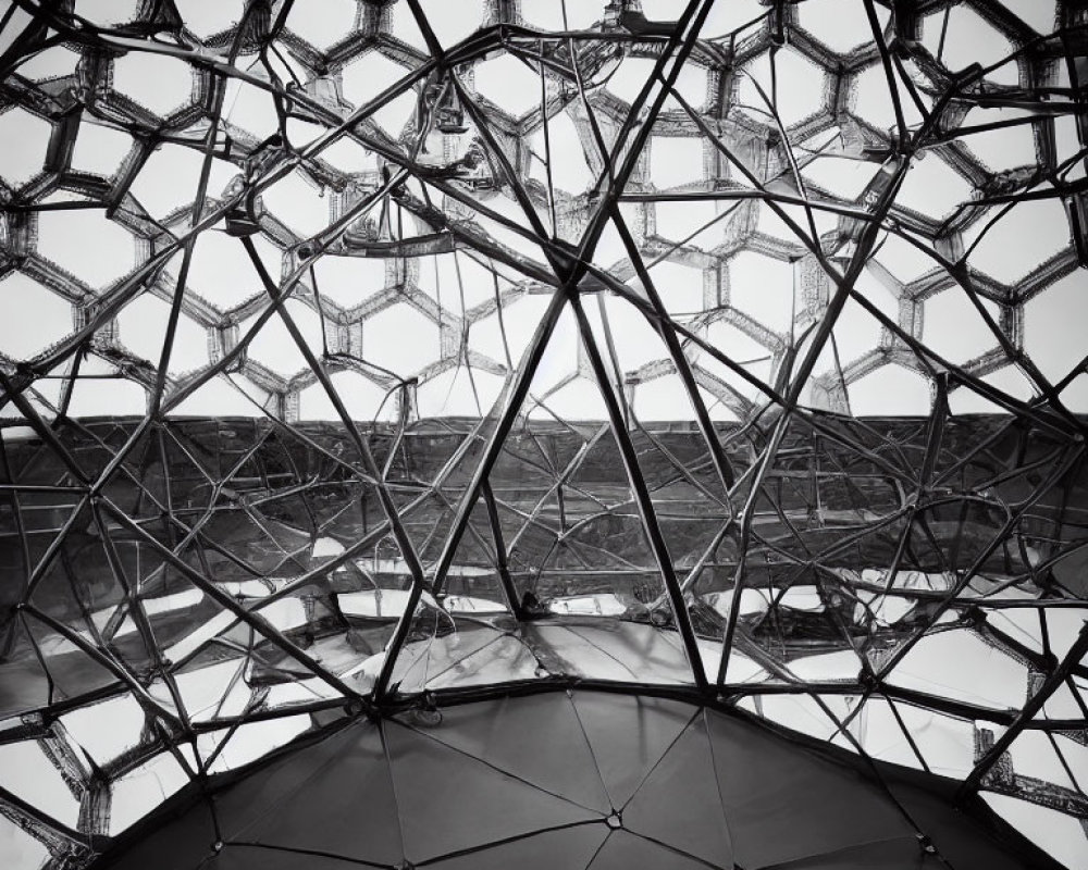 Monochrome photograph of intricate hexagonal dome structure