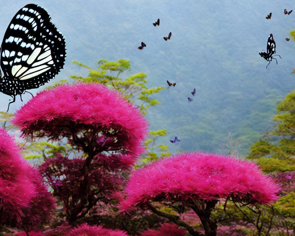 Monochrome butterfly on pink foliage with mountainous background