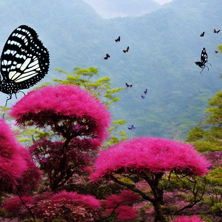 Monochrome butterfly on pink foliage with mountainous background