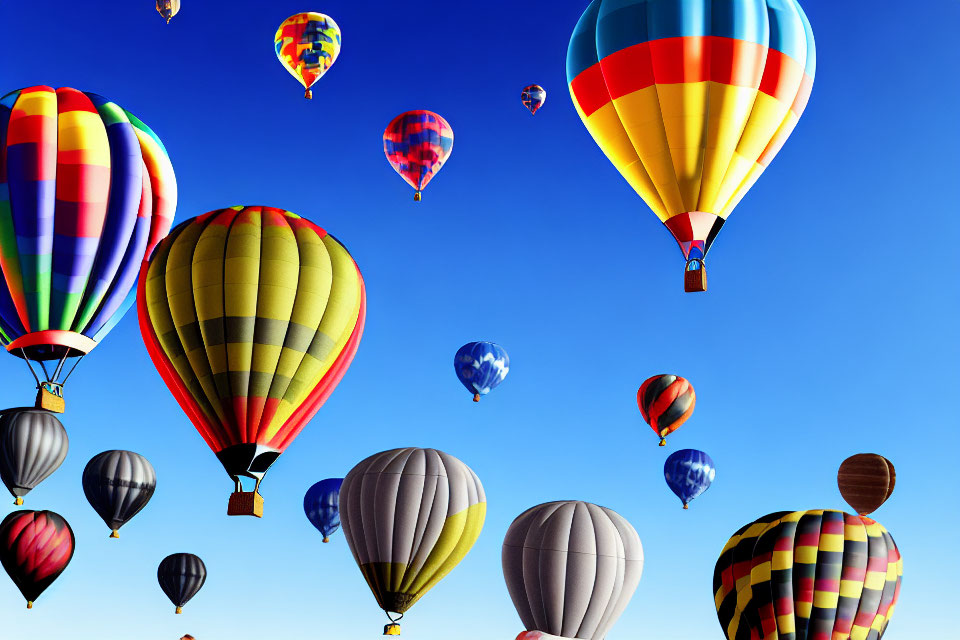 Colorful hot air balloons rise against clear blue sky