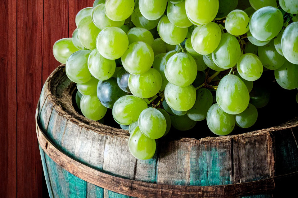 Fresh Green Grapes on Rustic Wooden Barrel with Blueish-Teal Paint