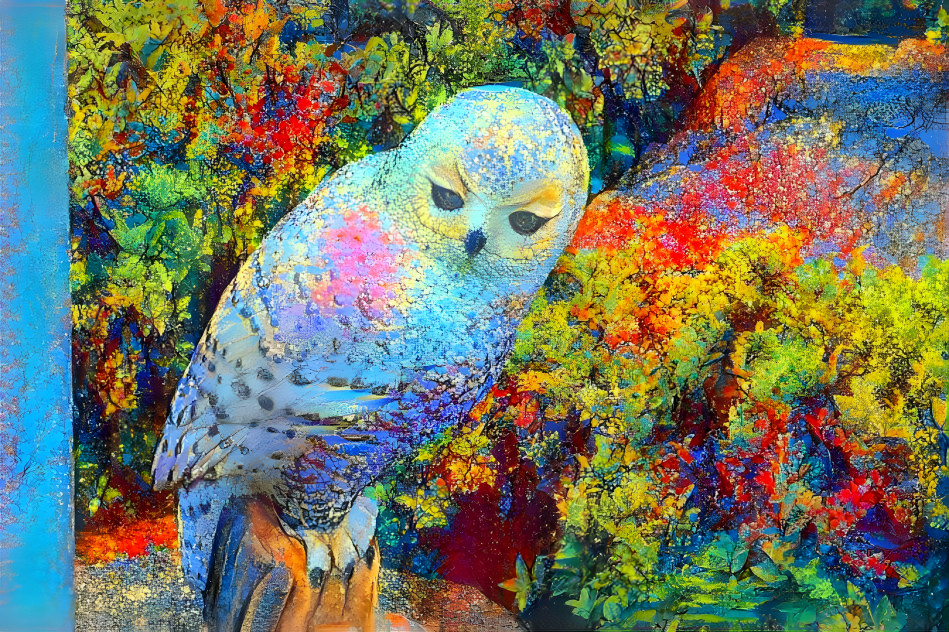 Owl