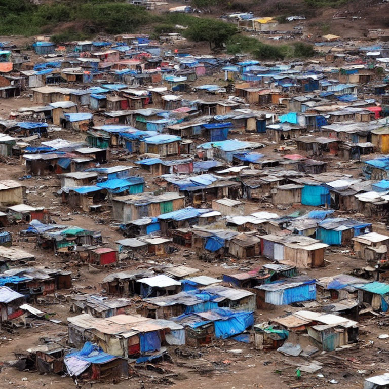 Crowded informal settlement with makeshift houses and metal roofs