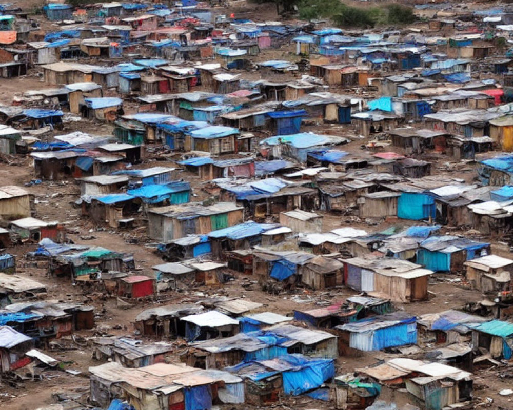 Crowded informal settlement with makeshift houses and metal roofs