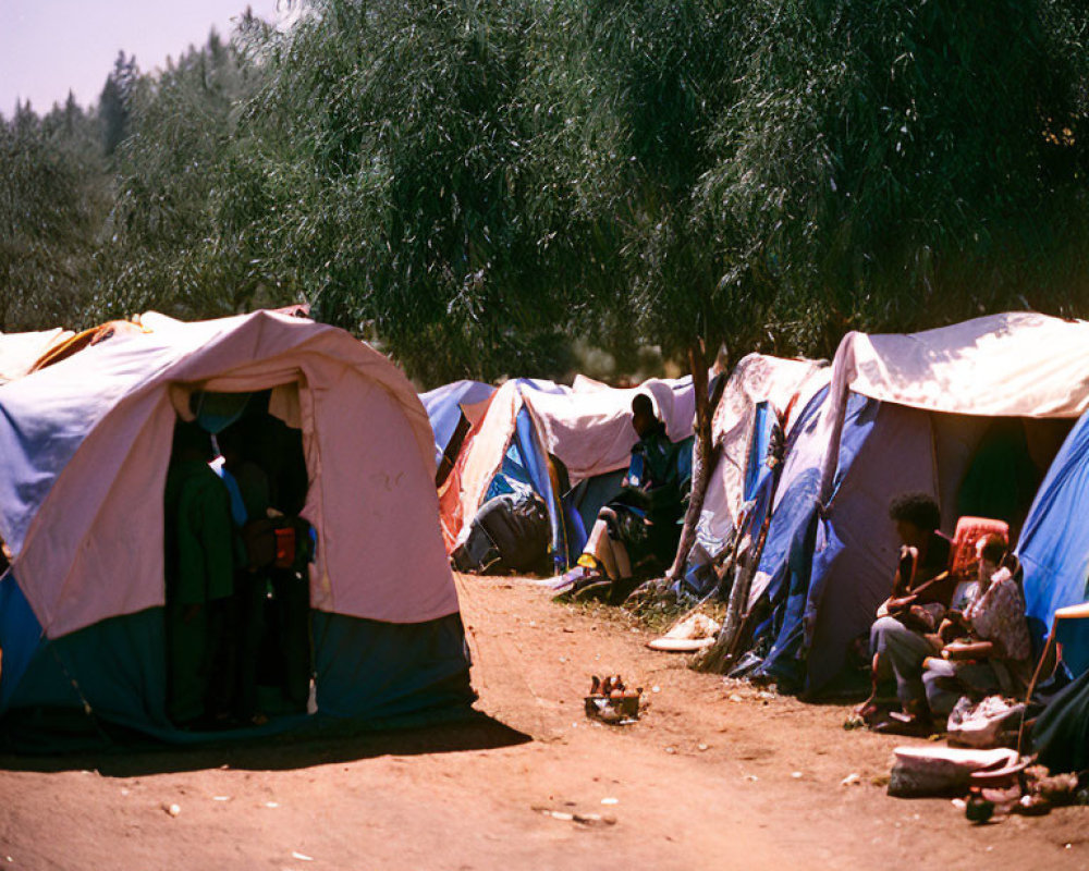 Group of People Sitting by Tents Under Trees at Makeshift Campsite