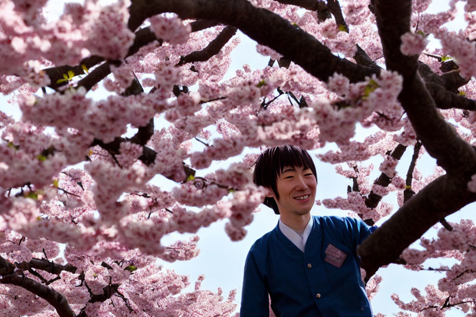 Smiling person surrounded by pink cherry blossoms