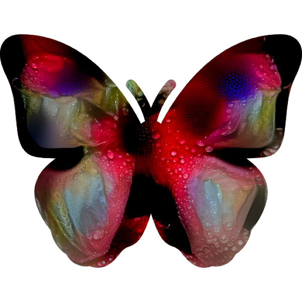 Rose Butterfly