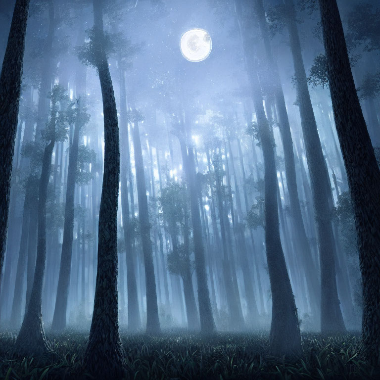 Moonlit Forest with Tall Trees and Full Moon Glow