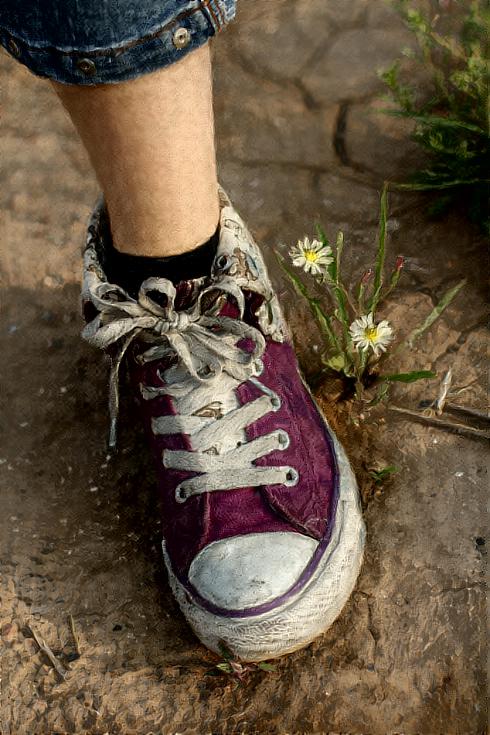 Purple Sneaker and Flowers