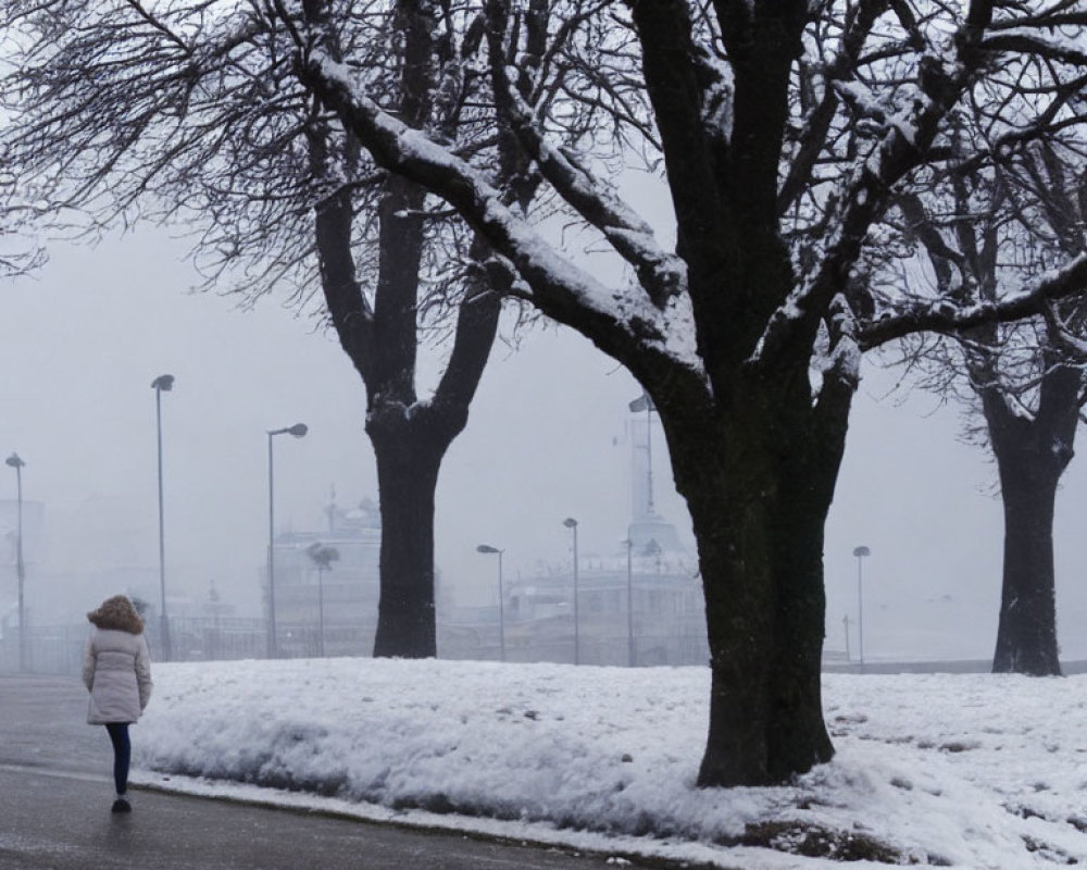 Snow-covered pavement with bare trees on foggy day and street lamps in background