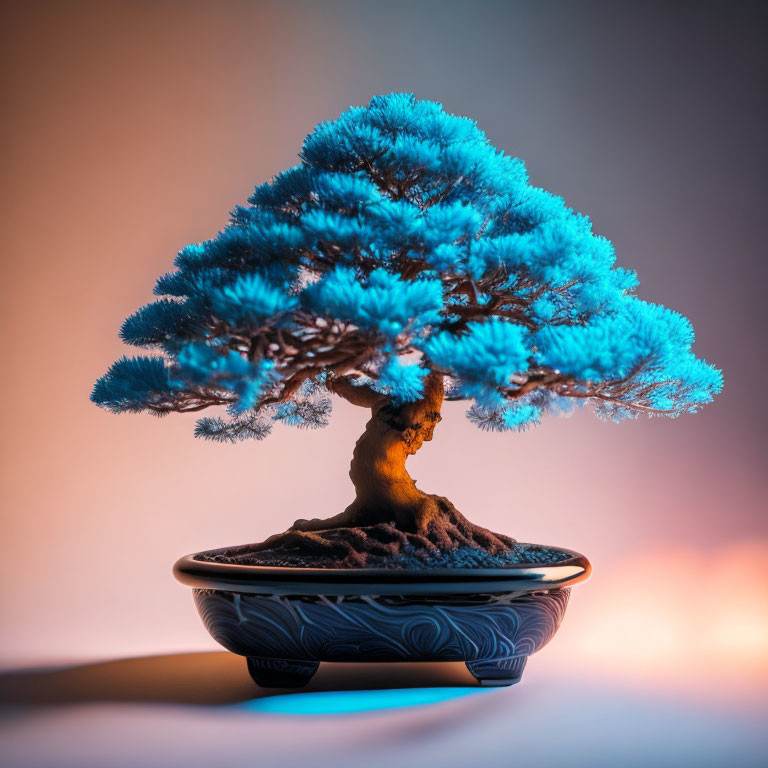 Blue bonsai tree with thick trunk in decorative bowl on orange and purple gradient background