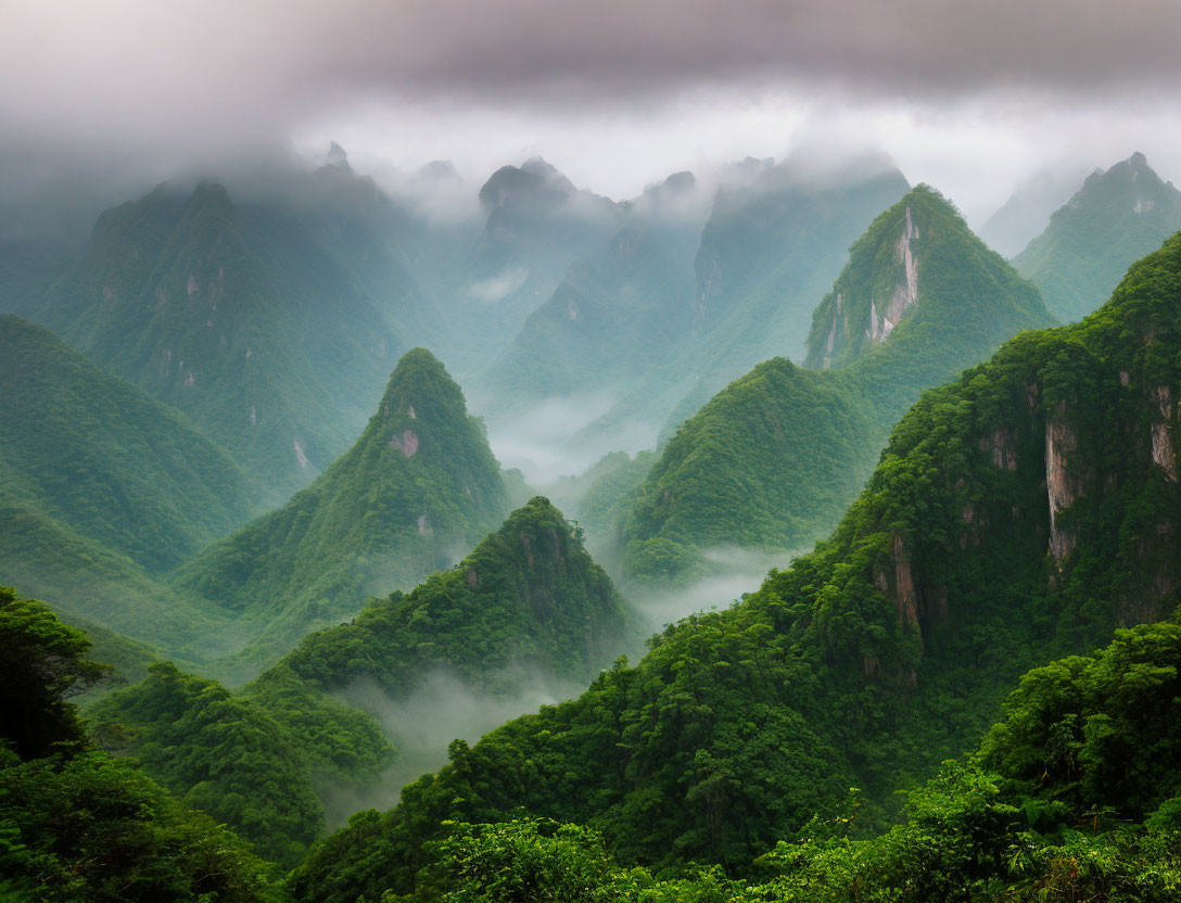 Misty Green Mountains Enveloped by Clouds