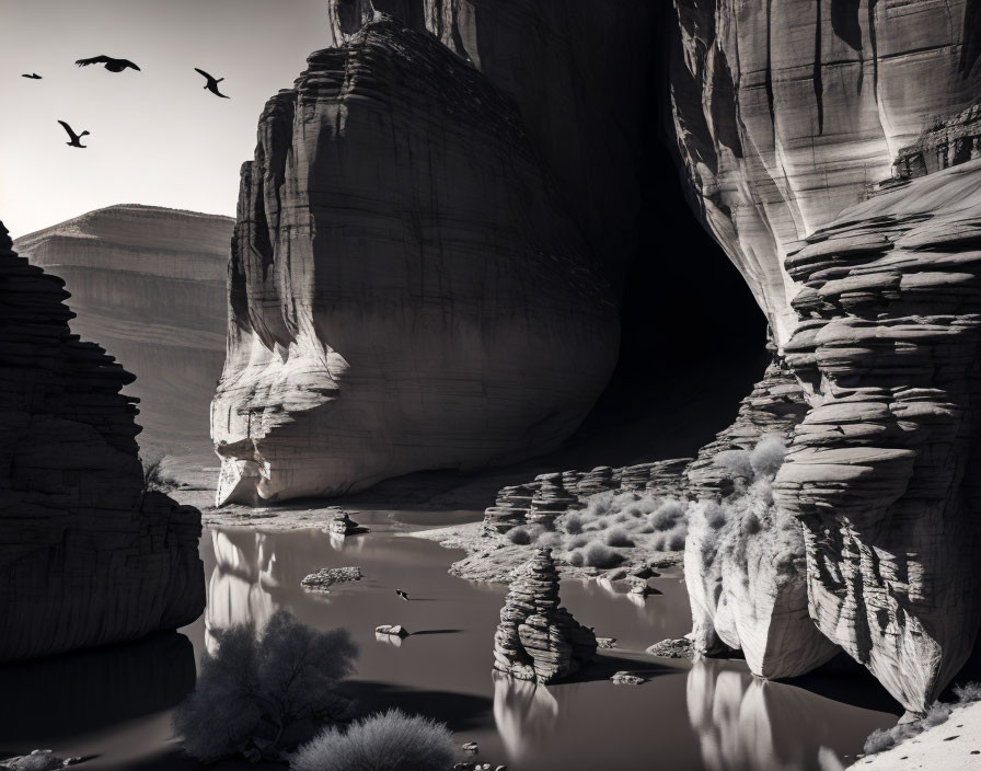 Dramatic monochrome canyon landscape with river, cliffs, birds, and sparse vegetation