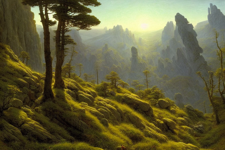 Serene forest scene with moss-covered rocks and towering pine trees