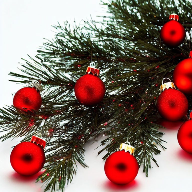 Green pine branches with red Christmas baubles on white background