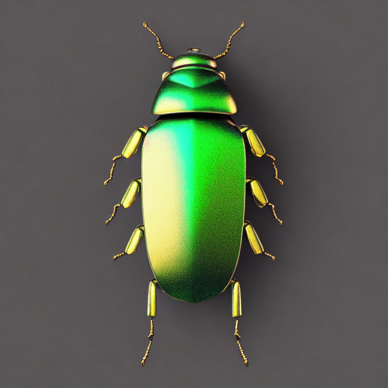 Vibrant Green and Gold Metallic Beetle on Dark Gray Background