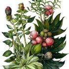 Botanical Watercolor Illustration with Green Foliage and Colorful Flowers