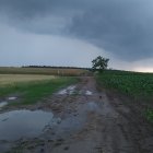 Dramatic landscape with single tree, rolling hills, still river, stormy sky, lightning.