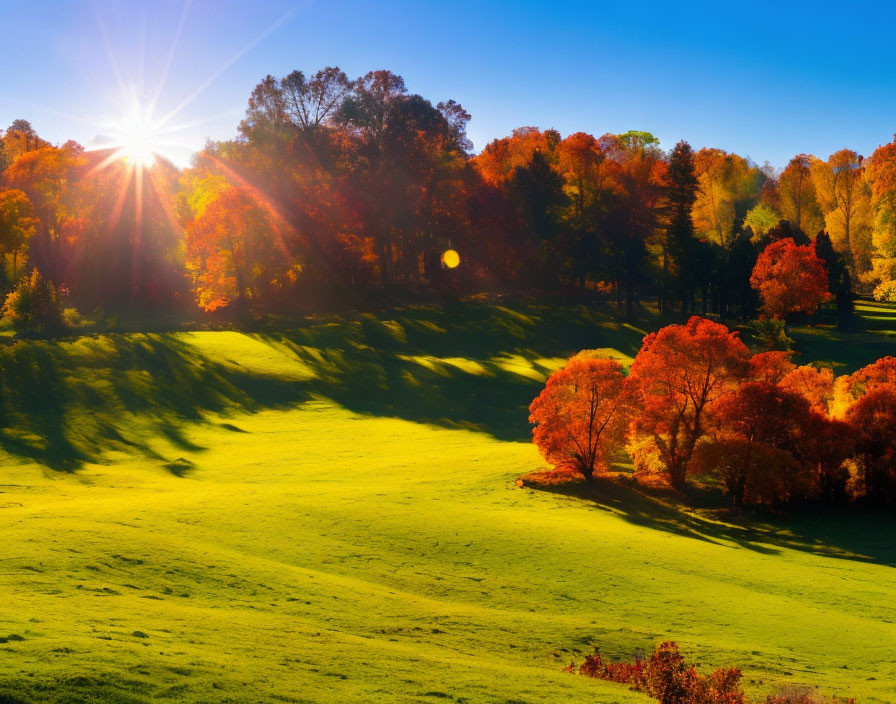 Colorful Autumn Landscape with Sunburst Through Trees