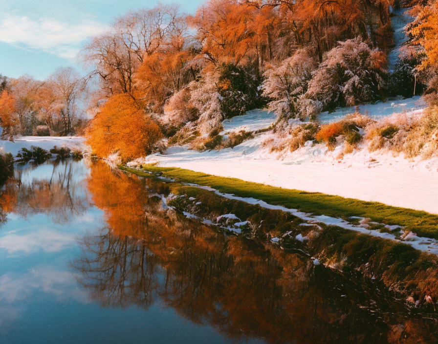 Snow-covered ground, orange trees, calm water, warm sky - Tranquil Winter Landscape