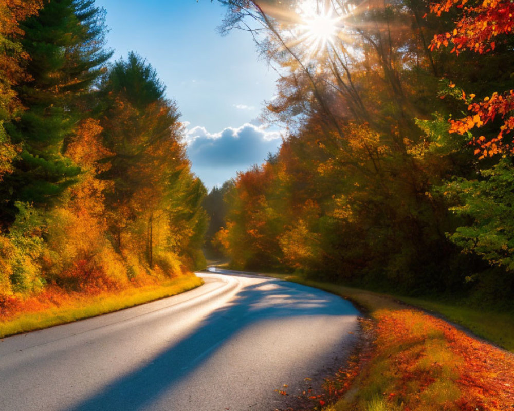 Scenic winding road in vibrant fall foliage landscape