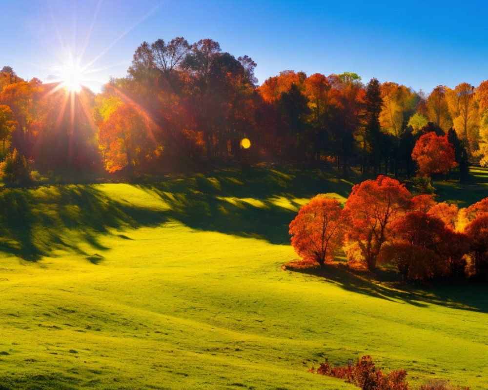 Colorful Autumn Landscape with Sunburst Through Trees