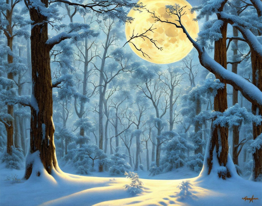 Full Moon Shines on Snowy Forest Landscape