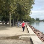 Riverside promenade with strolling individuals, trees, lamp posts, birds, and distant city