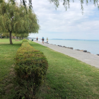 Tranquil lakeside scene with cobblestone path, lush greenery, flowers, trees