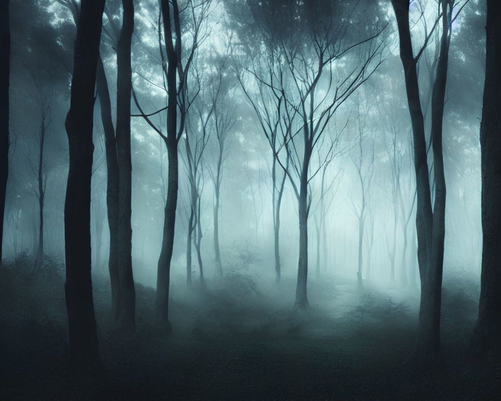 Mystical fog-shrouded forest at night with silhouetted trees