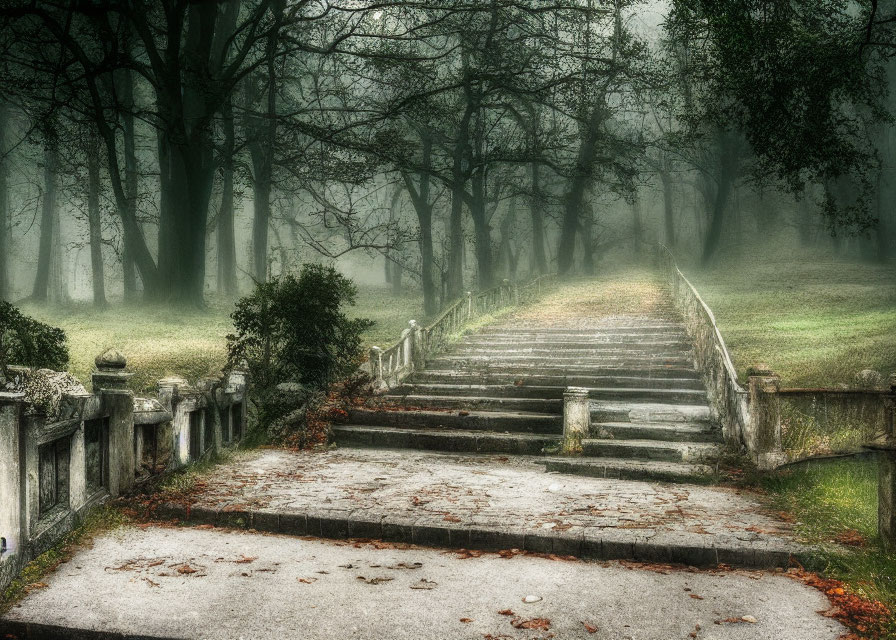 Foggy park with old stone staircase and bare trees