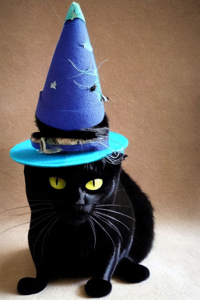 Black Cat in Wizard Hat with Yellow Eyes and Stars - Illustration