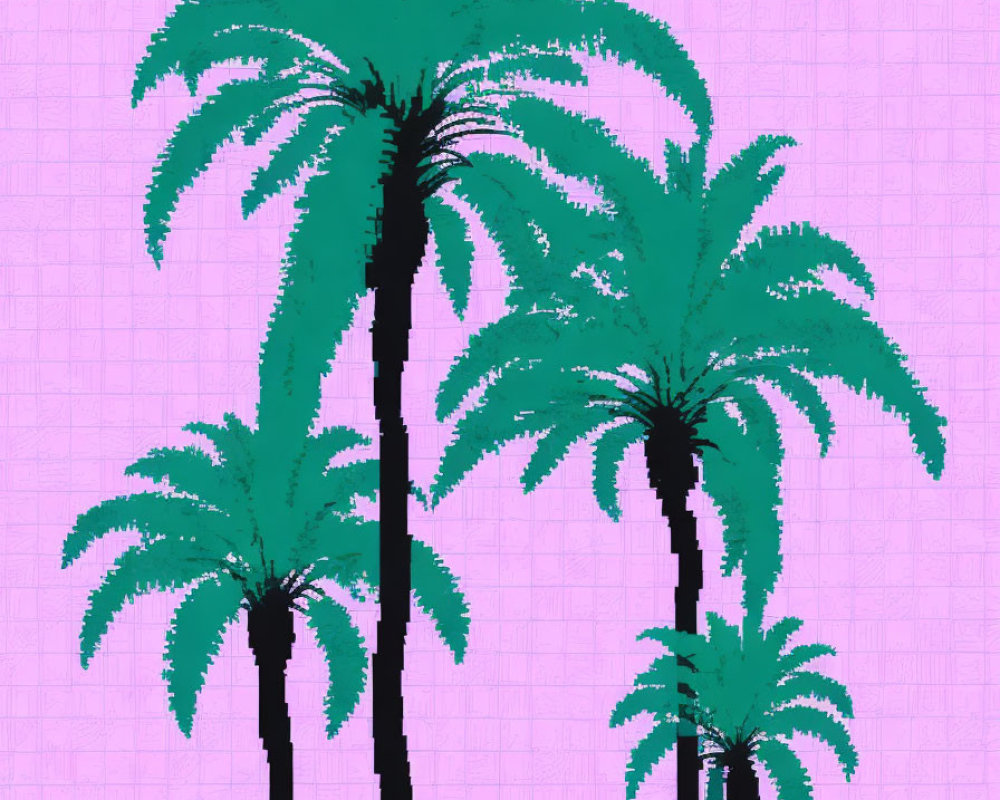 Three palm trees in varying heights on a pink grid backdrop