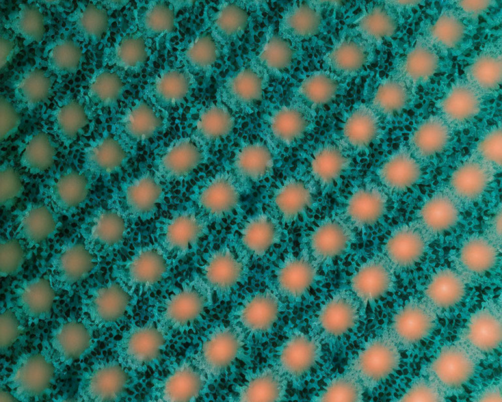 Sea sponge texture with coral-like pores in turquoise and orange hues