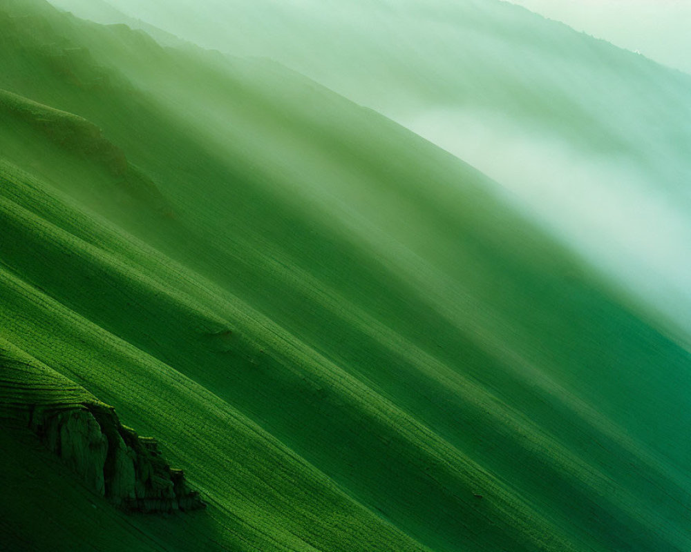 Tranquil landscape of misty green hills in soft sunlight