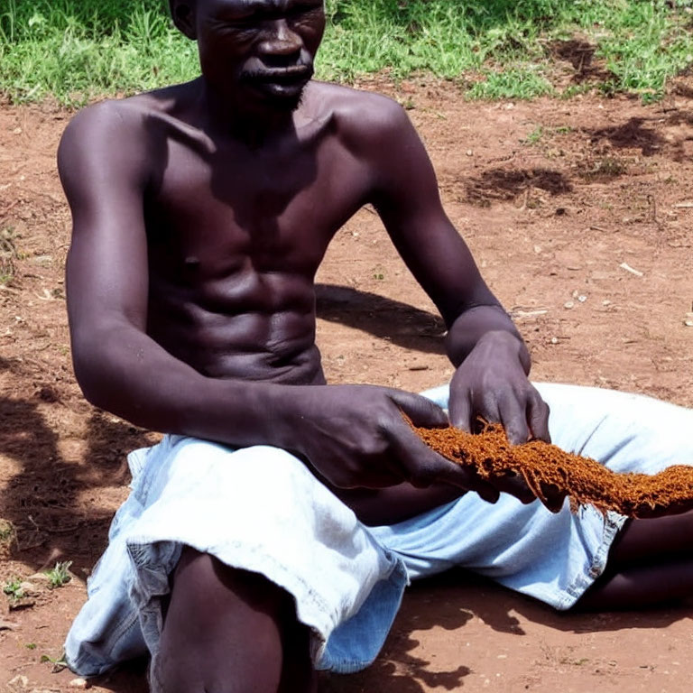 Muscular man sitting shirtless holding fibrous object on grass background