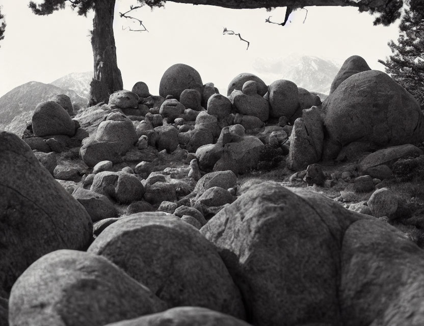 Monochrome landscape with rocks, tree, and distant mountains