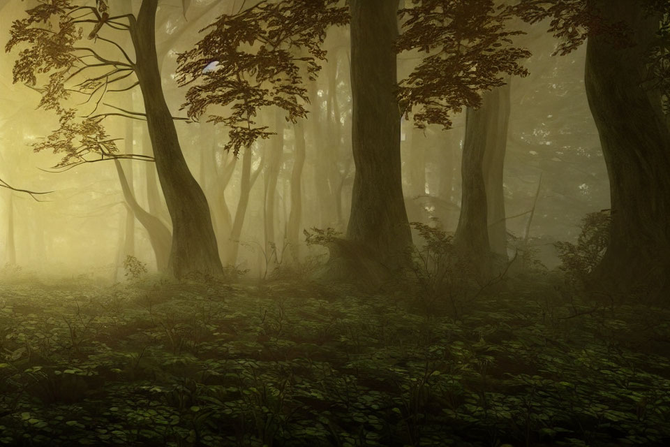 Sunlit mystical forest with fog and twisted trunks