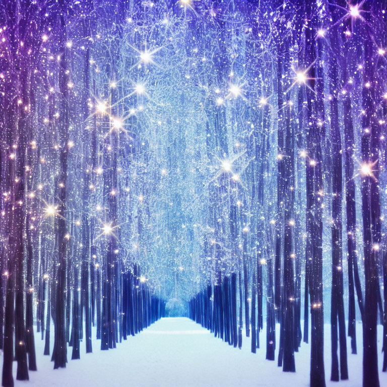 Enchanting Snowy Forest with Sparkling Star-Like Lights