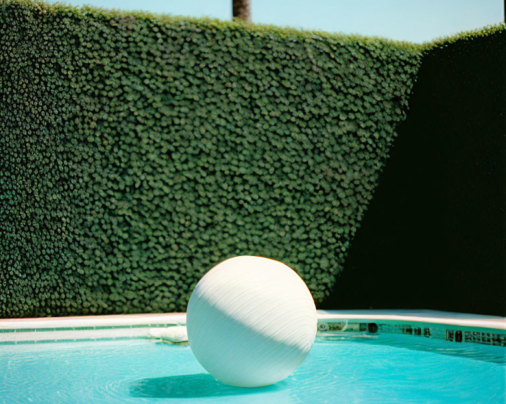 White spherical object in clear blue swimming pool with trimmed hedge and palm tree