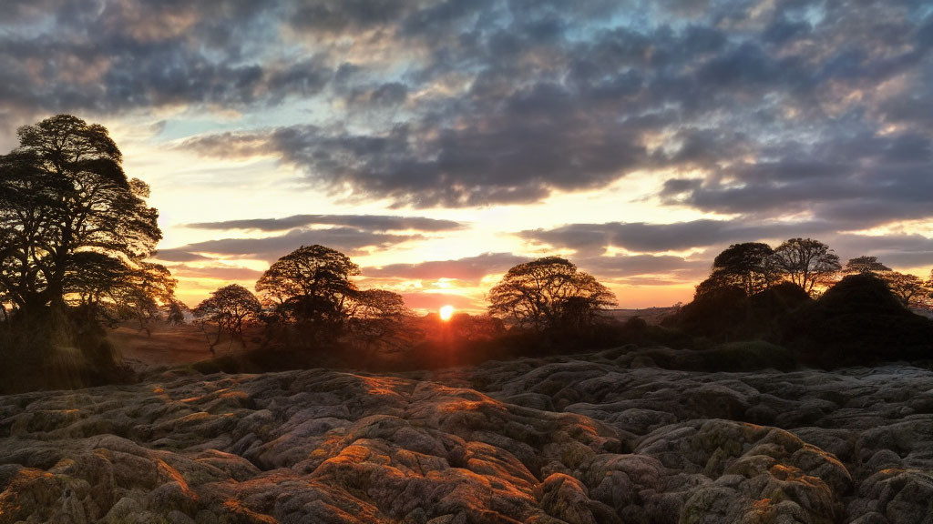 Colorful sunset over moss-covered rocks and silhouetted trees